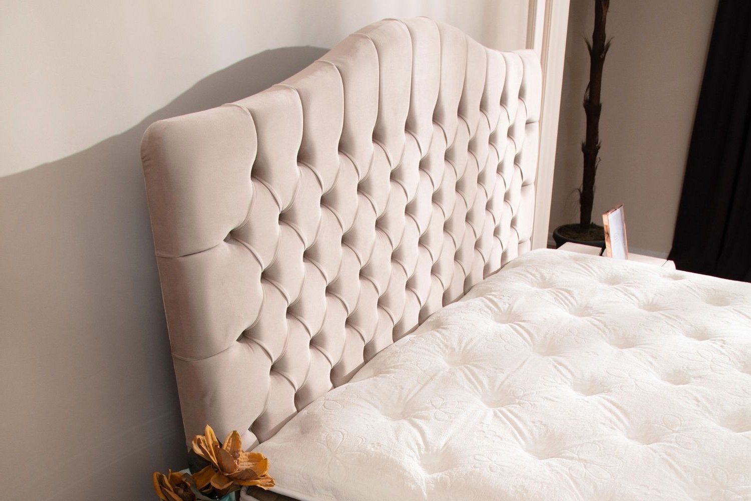Lit Coffre en velours beige capitonné PARIS